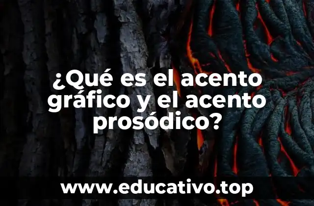 ¿Qué es el acento gráfico y el acento prosódico?