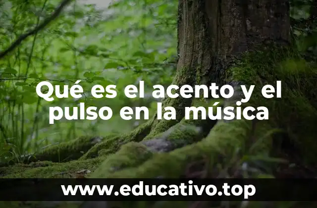 Qué es el acento y el pulso en la música
