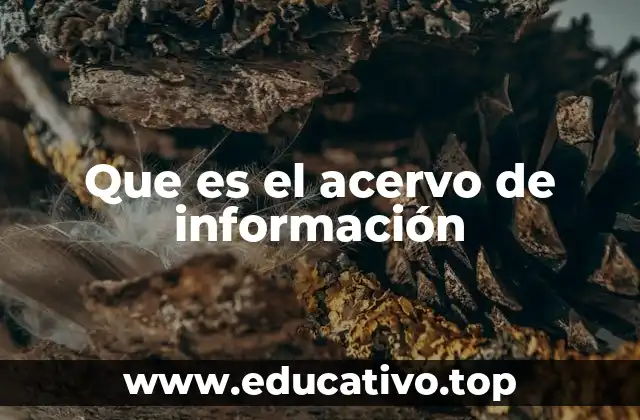 Que es el acervo de información