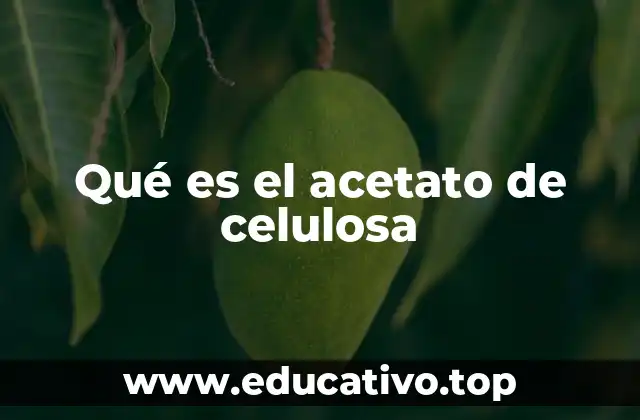 Qué es el acetato de celulosa