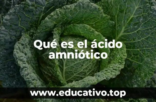 El papel del ácido amniótico en el desarrollo fetal
