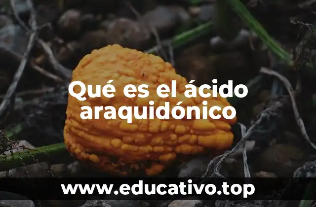 Qué es el ácido araquidónico