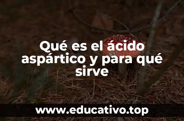 Qué es el ácido aspártico y para qué sirve
