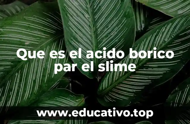 El papel del ácido bórico en la química del slime