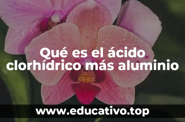 Qué es el ácido clorhídrico más aluminio