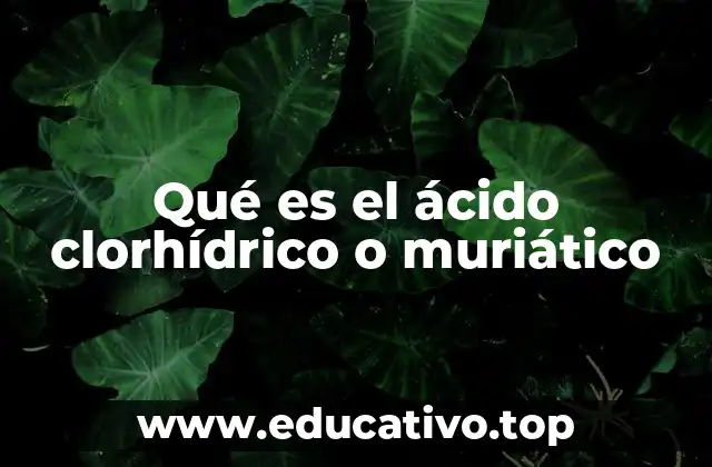 Qué es el ácido clorhídrico o muriático