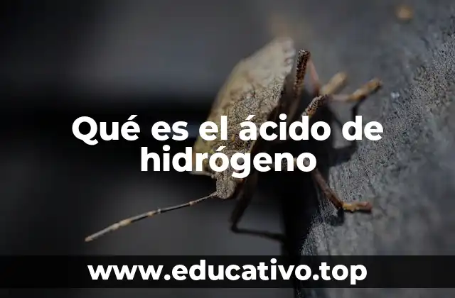 Qué es el ácido de hidrógeno