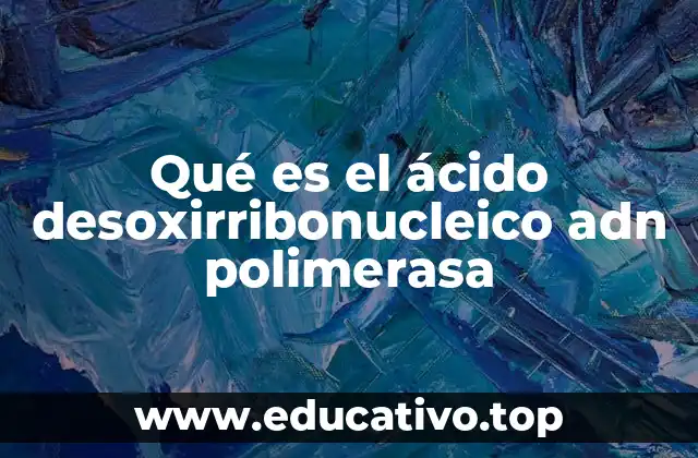 Qué es el ácido desoxirribonucleico adn polimerasa