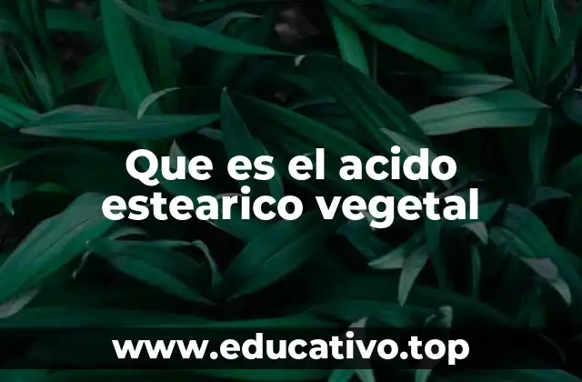 Que es el acido estearico vegetal