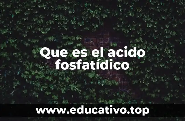 Que es el acido fosfatídico