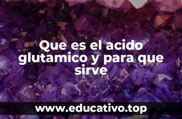 Que es el acido glutamico y para que sirve