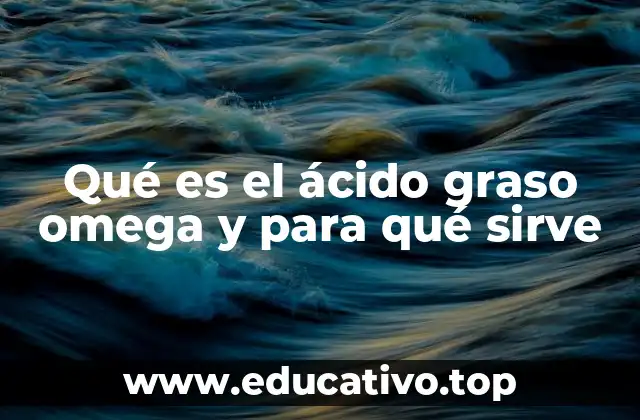 Qué es el ácido graso omega y para qué sirve