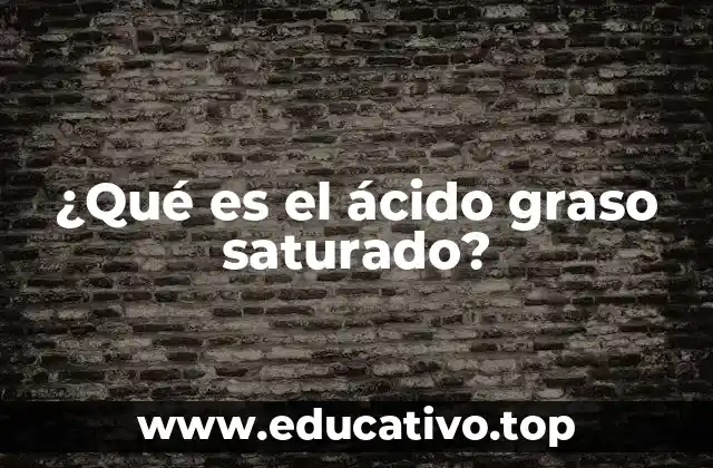 El papel de los ácidos grasos en la nutrición humana