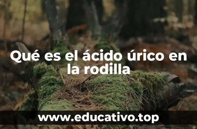 Qué es el ácido úrico en la rodilla