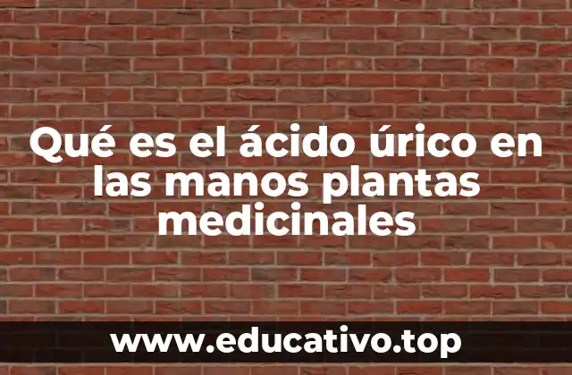 Qué es el ácido úrico en las manos plantas medicinales