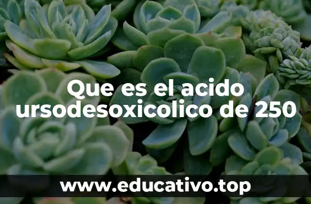 Que es el acido ursodesoxicolico de 250