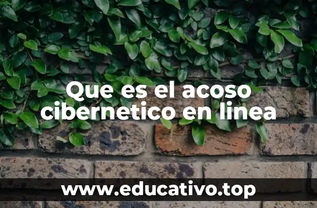 Que es el acoso cibernetico en linea