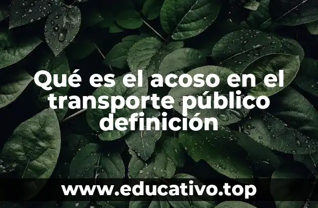 Qué es el acoso en el transporte público definición