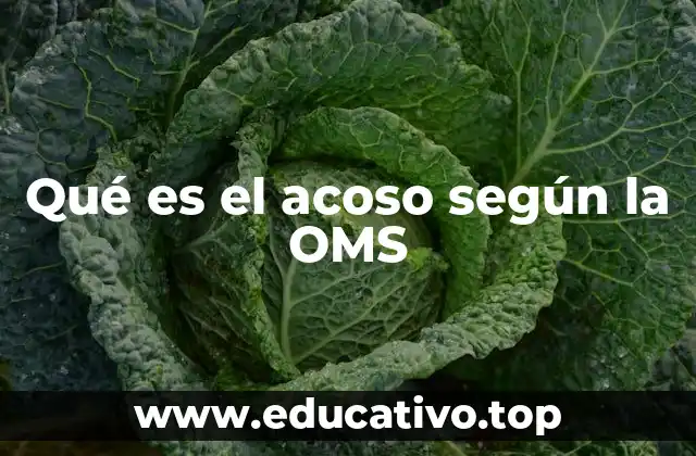 Qué es el acoso según la OMS