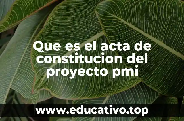 Que es el acta de constitucion del proyecto pmi