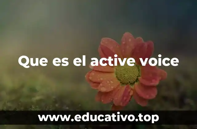 Que es el active voice