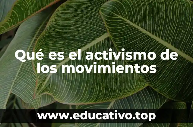 Qué es el activismo de los movimientos