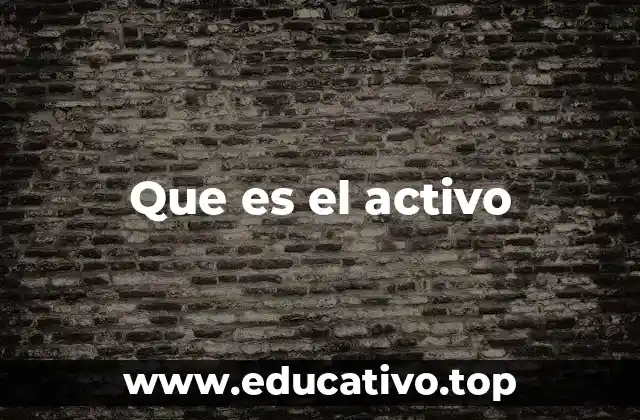 Que es el activo