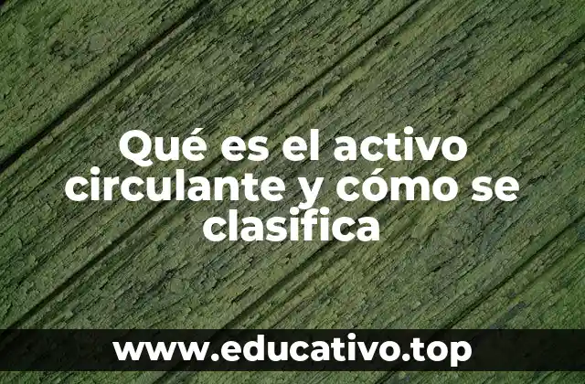 Qué es el activo circulante y cómo se clasifica