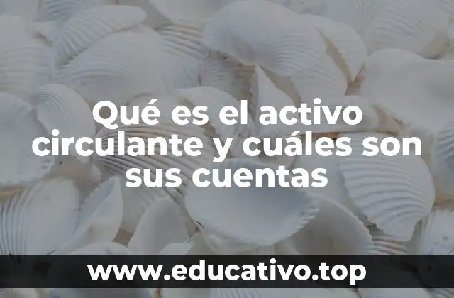 Qué es el activo circulante y cuáles son sus cuentas
