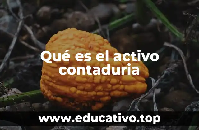 Qué es el activo contaduria