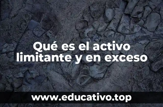 Qué es el activo limitante y en exceso