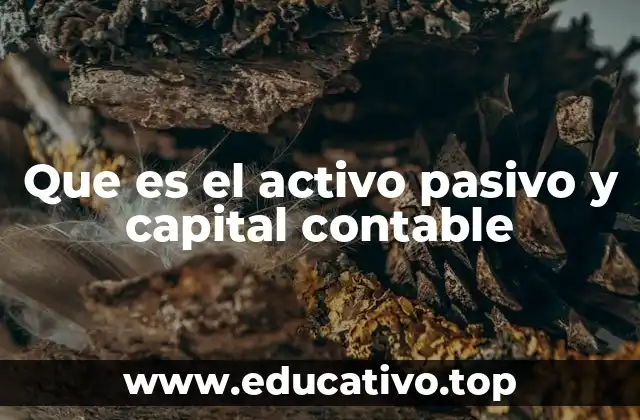 Que es el activo pasivo y capital contable