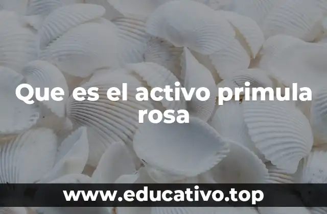 Que es el activo primula rosa