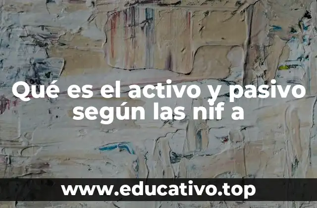 Qué es el activo y pasivo según las nif a