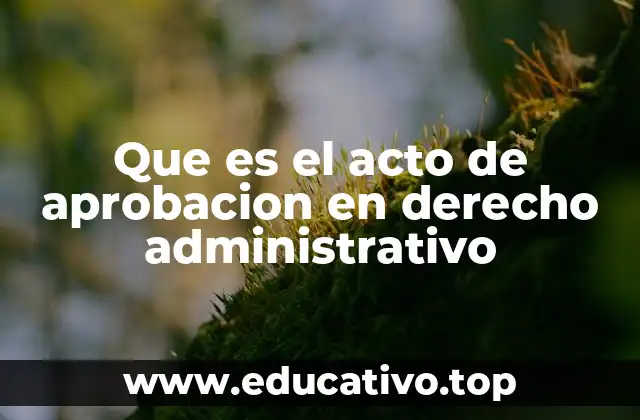El acto de aprobación como herramienta de control y legitimación
