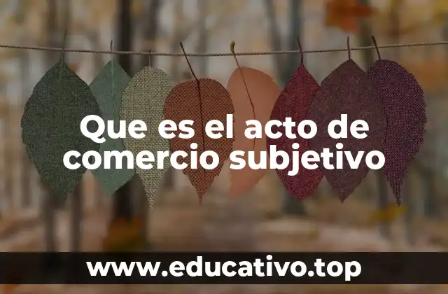Que es el acto de comercio subjetivo