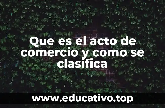 Que es el acto de comercio y como se clasifica
