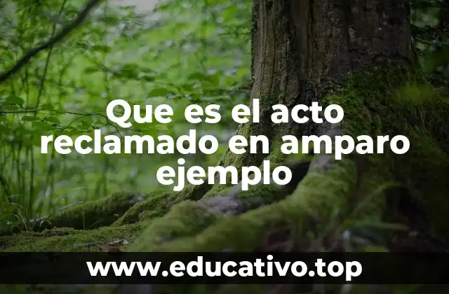 Que es el acto reclamado en amparo ejemplo