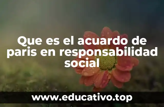 Que es el acuardo de paris en responsabilidad social