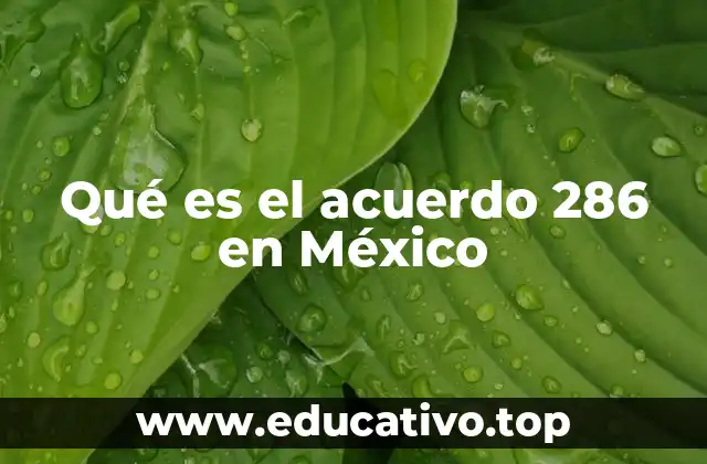 Qué es el acuerdo 286 en México