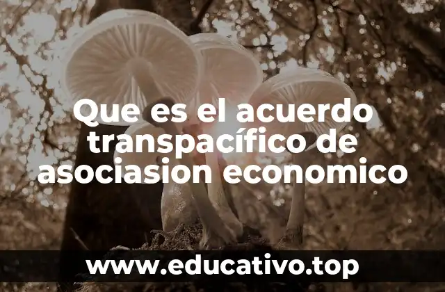 Que es el acuerdo transpacífico de asociasion economico