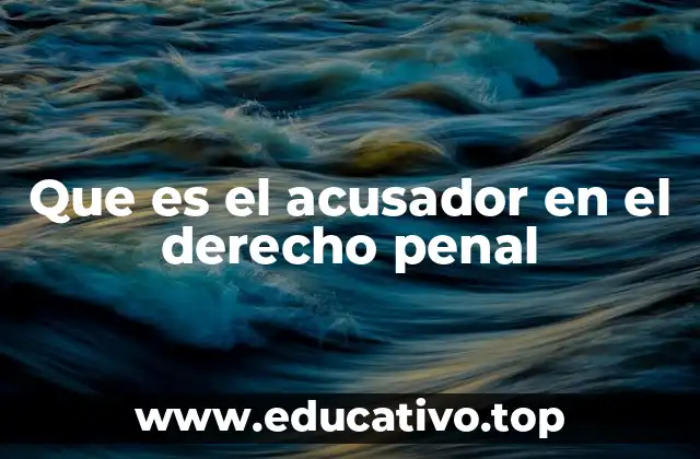 Que es el acusador en el derecho penal