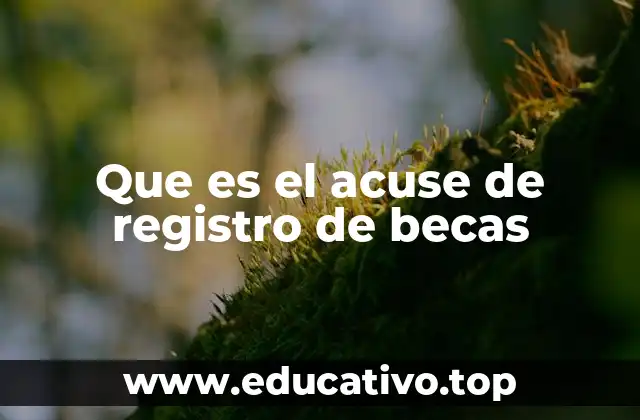 Que es el acuse de registro de becas