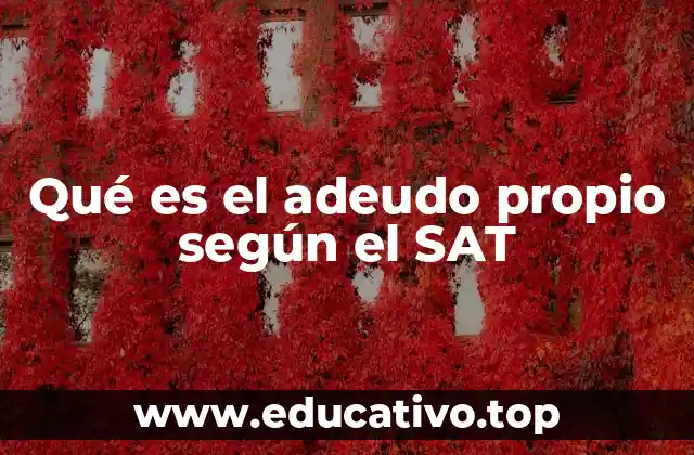 Qué es el adeudo propio según el SAT