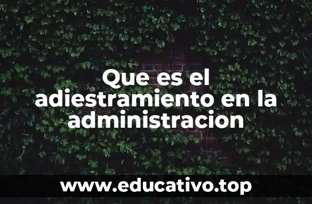 Que es el adiestramiento en la administracion