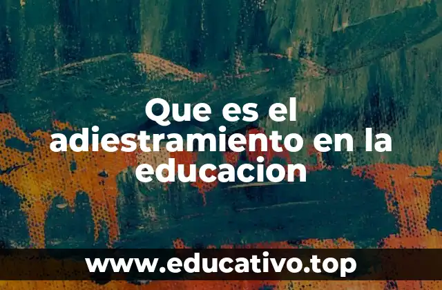 Que es el adiestramiento en la educacion