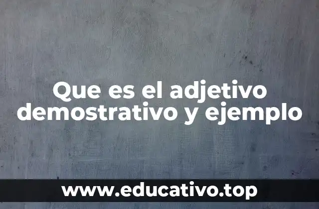 Que es el adjetivo demostrativo y ejemplo