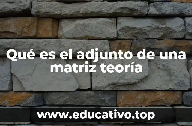 Qué es el adjunto de una matriz teoría