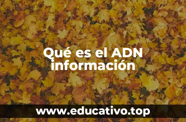 Qué es el ADN información