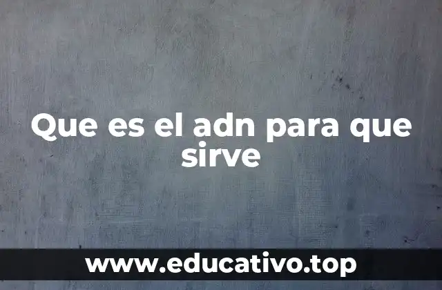 El papel del ADN en la herencia y la variabilidad genética